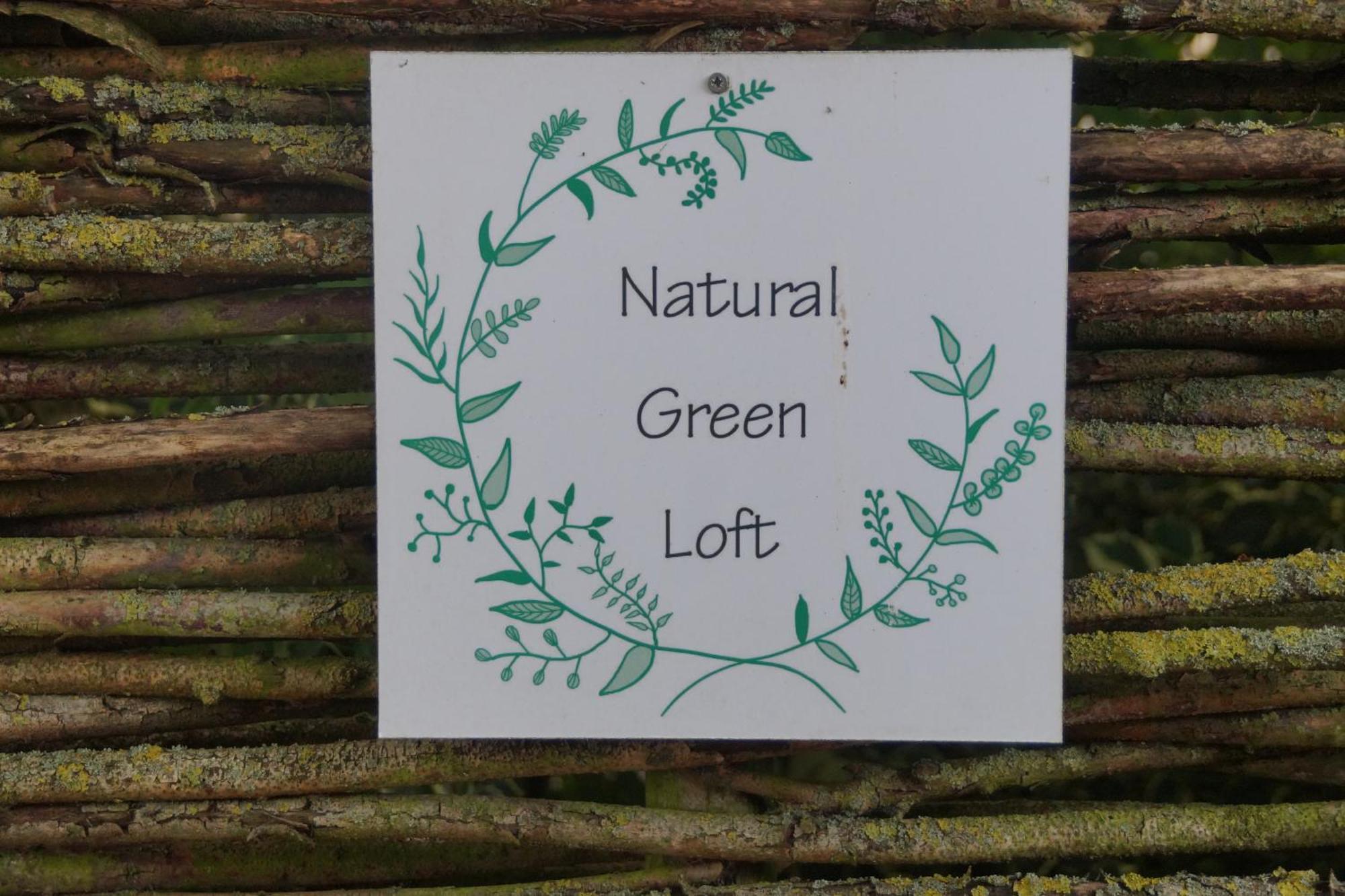 Natural Green Loft Bergen Exterior foto